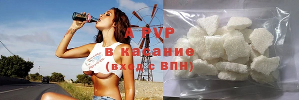 хмурый Корсаков