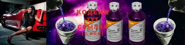 хмурый Корсаков